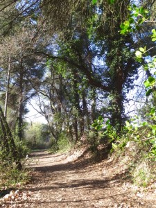 Noi siamo parte della natura