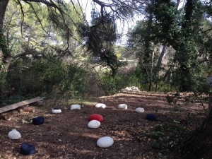 Au lieu de louer une salle pour vos conférences, séminaires, ... louez nos zafus, a l'ombre des grands arbres, sur un sol revêtu de broyât, en connexion avec les éléments et en cohérence avec votre discours. Ici en fevrier, les arbustes persistants restent verts. En Aout, c'est l'endroit le plus frais, avec plusieurs étages de caducs et persistants. A droite sur cette photo, on peut apercevoir le coffre de la freebox, on peut s'y brancher (electricité et internet). Dans l'article "rencontres", plusieurs photos font le tour de cette place dominante, et ses accès.