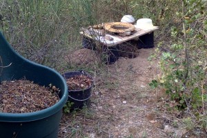 une TS très simple pour préparer directement les trous de plantation, en mélangeant compost, bois, sable et-ou terre. L'accès se fait par un labyrinthe de chemins, il est donc facile d'en priver l'accès lorsqu'elle est occupée, au moyen d'une corde et d'un panneau. Si l'intimité n'est pas naturellement assurée par la végétation, on peut ajouter une cabine légère, un paravent ou simplement un tissu sur une corde. Ici 1 planche trouée et 4 pots de fleurs, au dessus d'un trou, mais le trou est optionnel car on peut aussi bien faire des buttes auu dessus du niveau du sol, et déplacer cette installation fini les gestions de seaux, qui pourrissent quand il pleut.... Au lieu de se faire assister on enrichit directement et définitivement le sol en humus là où il sera utile.